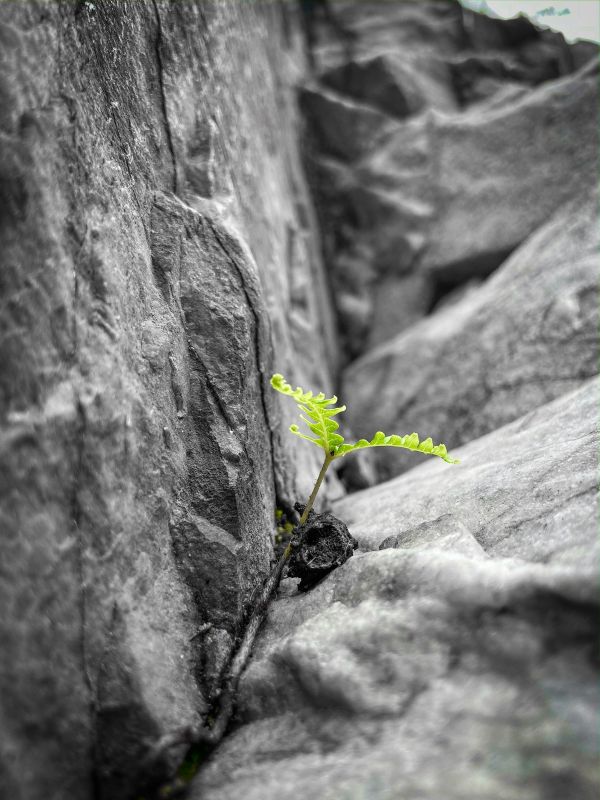 La r&eacute;silience : un atout pour votre agilit&eacute; manag&eacute;riale